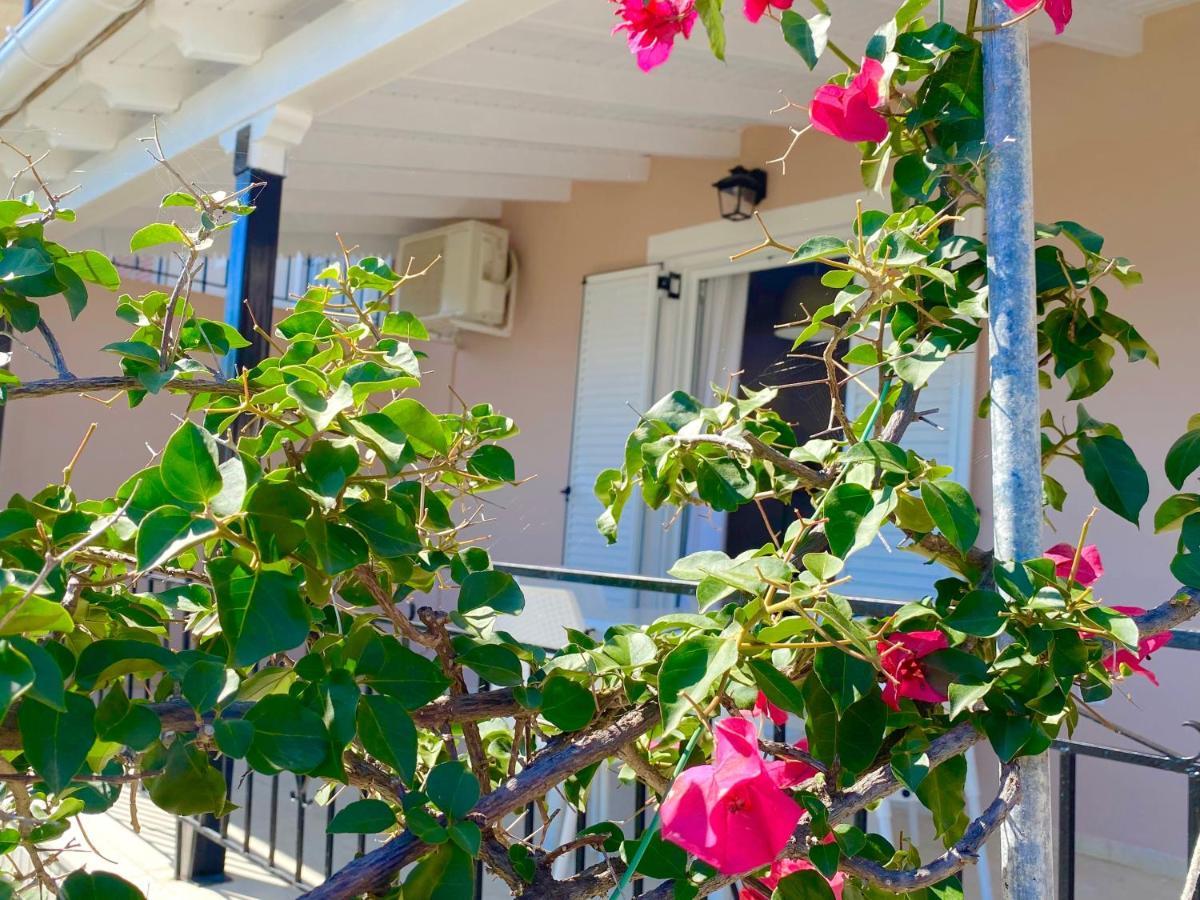 Nissaki Apartments And Vasilis House ニサキオン エクステリア 写真